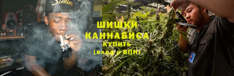 Конопля OG Kush  как найти   Осташков 